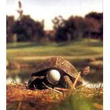 �������